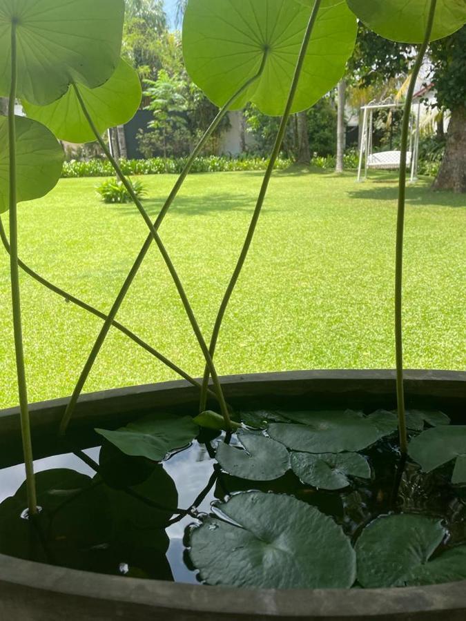 Villa Crystals Malabe Dış mekan fotoğraf